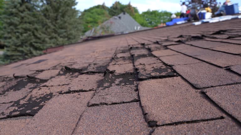 Best Roof Insulation Installation  in San Pasqual, CA