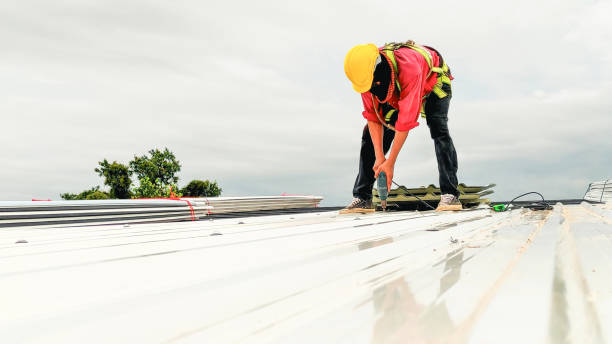 Best Asphalt Shingles Roofing  in San Pasqual, CA