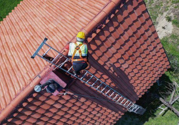 Best Roof Maintenance and Cleaning  in San Pasqual, CA