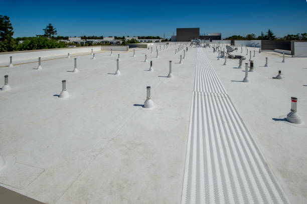 Best Solar Panel Roofing Installation  in San Pasqual, CA